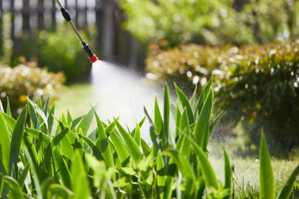 24/7 Emergency Pest Control experts in Crivitz, WI
